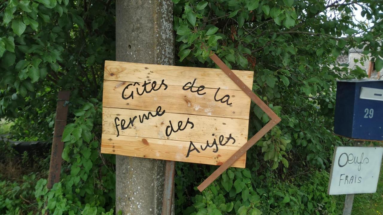Gite Familial Ferme Des Aujes Falaen Onhaye Zewnętrze zdjęcie
