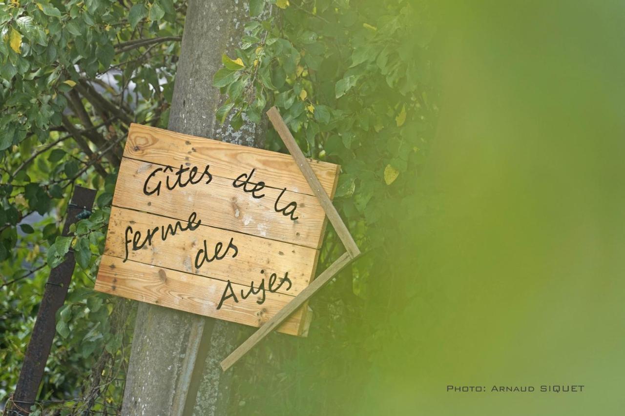 Gite Familial Ferme Des Aujes Falaen Onhaye Zewnętrze zdjęcie