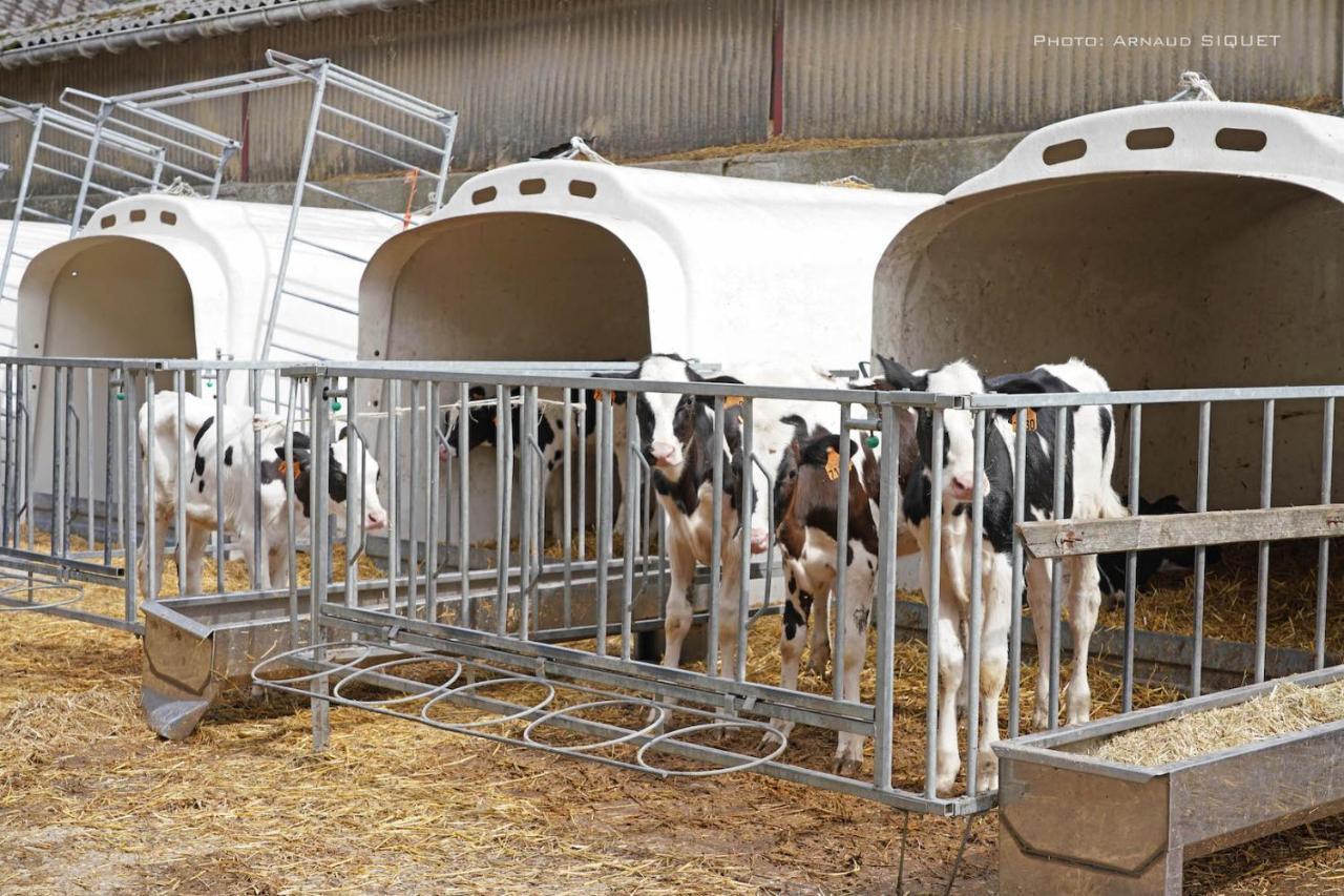 Gite Familial Ferme Des Aujes Falaen Onhaye Zewnętrze zdjęcie